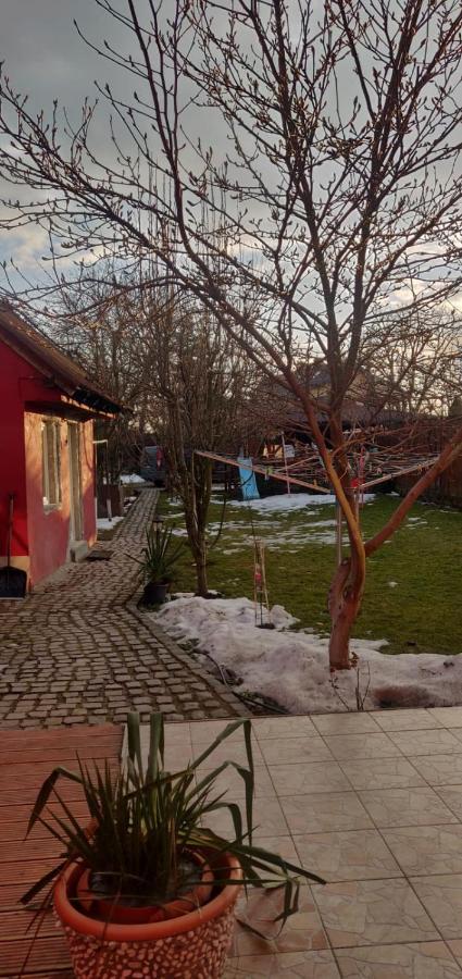 Отель Casa Terzea Рышнов Экстерьер фото