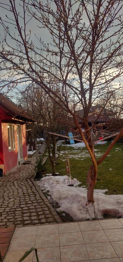 Отель Casa Terzea Рышнов Экстерьер фото